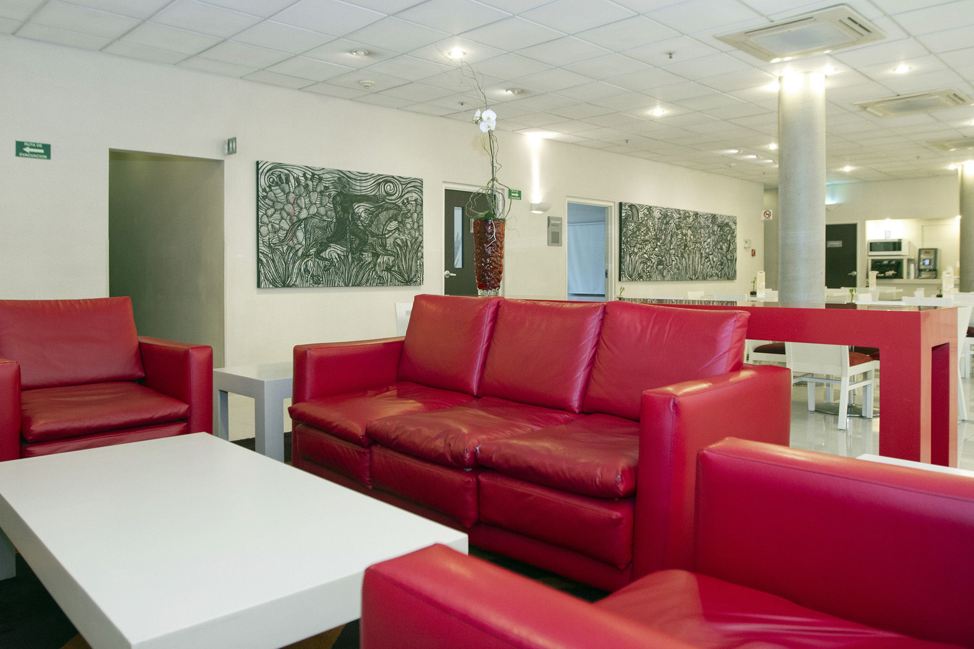 City Express Plus By Marriott Ciudad De Mexico Insurgentes Sur Εξωτερικό φωτογραφία